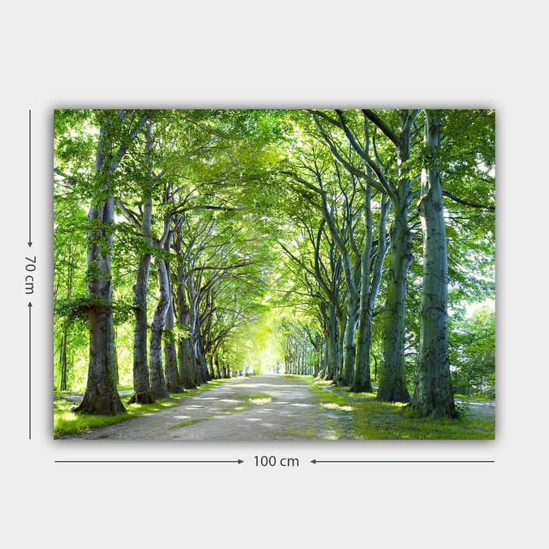 Lærred 70x100 cm - Smuk allé med træer, der skaber en fredelig og indbydende sti - Grøn / Lysegrøn / Brun - Boligtilbehør - Billeder & kunst - Billeder på lærred