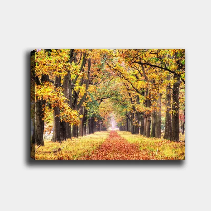 Lærred 70x100 cm - Smuk allé omgivet af efterårsfarvede træer, der fører mod en lysere horisont, Gyldenorange / Grøn / Brun