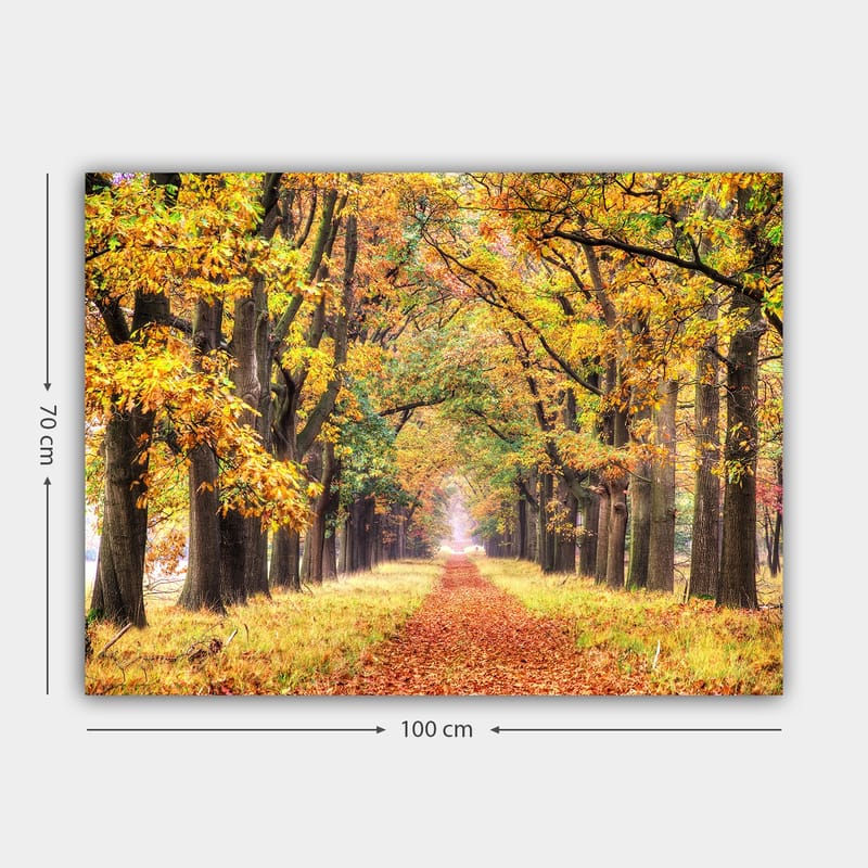 Lærred 70x100 cm - Smuk allé omgivet af efterårsfarvede træer, der fører mod en lysere horisont - Gyldenorange / Grøn / Brun - Boligtilbehør - Billeder & kunst - Billeder på lærred