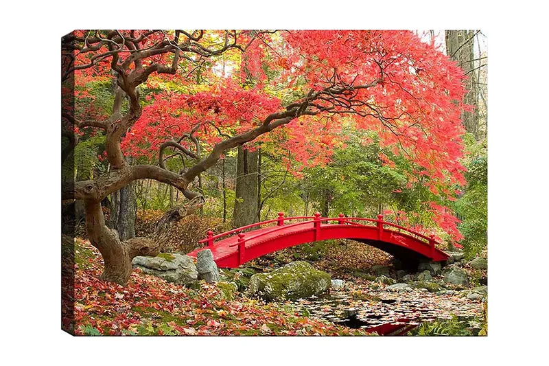 Lærred 70x100 cm - Smuk bro i rød omgivet af efterårsfarvede træer og blade, Rød / Grøn / Brun