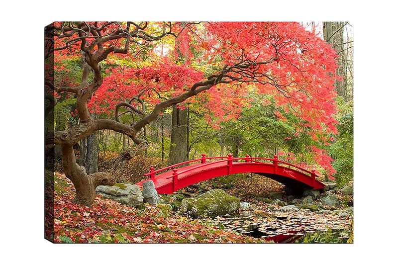 Lærred 70x100 cm - Smuk bro i rød omgivet af efterårsfarvede træer og blade, Rød / Grøn / Brun