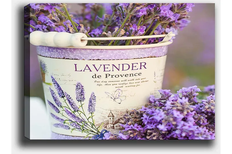 Lærred 70x100 cm - Smuk buket lavendel i en dekorativ spand - Lilla / Hvid - Boligtilbehør - Billeder & kunst - Billeder på lærred