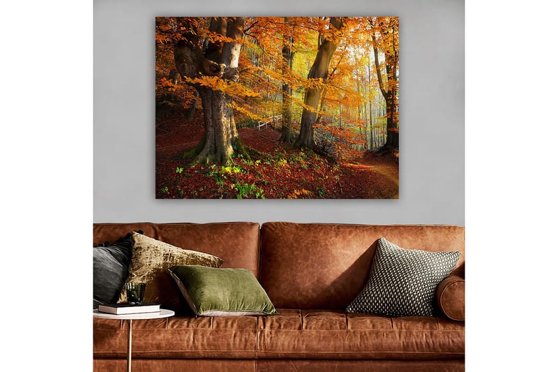 Lærred 70x100 cm - Smuk efterårsskov med farverige træer og nedfaldne blade - Orange / Rød / Brun - Boligtilbehør - Billeder & kunst - Billeder på lærred