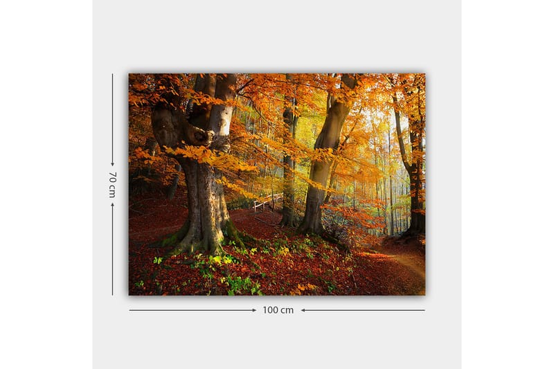 Lærred 70x100 cm - Smuk efterårsskov med farverige træer og nedfaldne blade - Orange / Rød / Brun - Boligtilbehør - Billeder & kunst - Billeder på lærred