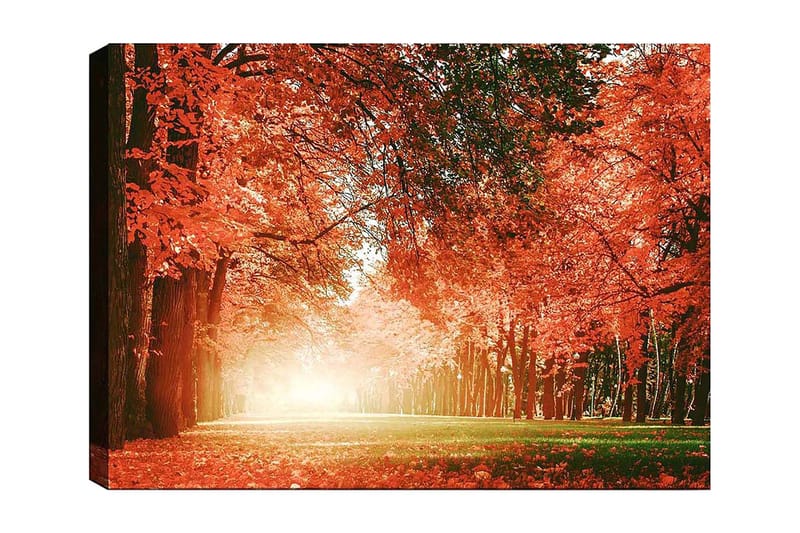 Lærred 70x100 cm - Smuk efterårsskov med strålende orange og røde blade, der skaber en varm og indbydende atmosfære, Orange / Rød / Grøn