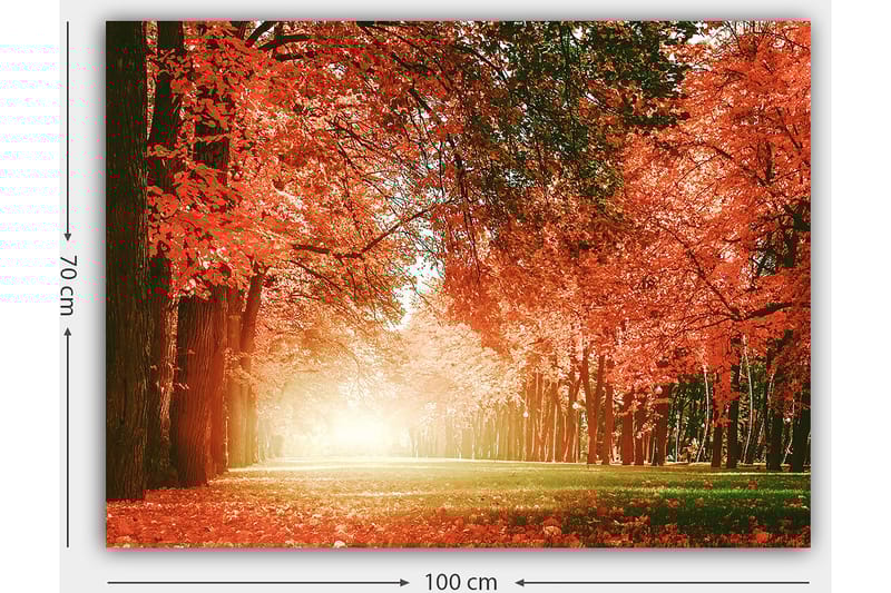 Lærred 70x100 cm - Smuk efterårsskov med strålende orange og røde blade, der skaber en varm og indbydende atmosfære - Orange / Rød / Grøn - Boligtilbehør - Billeder & kunst - Billeder på lærred