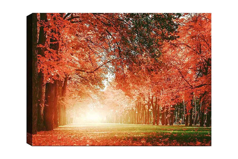 Lærred 70x100 cm - Smuk efterårsskov med strålende orange og røde blade, der skaber en varm og indbydende atmosfære, Orange / Rød / Grøn