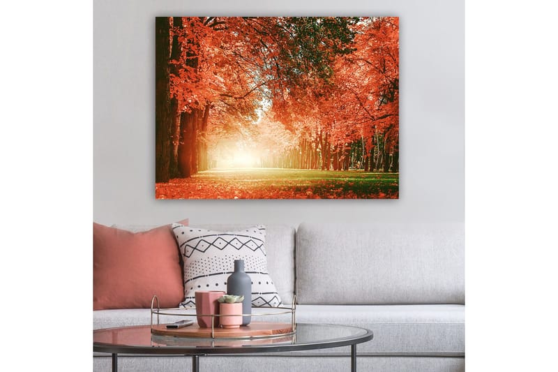 Lærred 70x100 cm - Smuk efterårsskov med strålende orange og røde blade, der skaber en varm og indbydende atmosfære - Orange / Rød / Grøn - Boligtilbehør - Billeder & kunst - Billeder på lærred