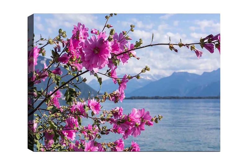 Lærred 70x100 cm - Smuk gruppe af blomster, der strækker sig over en sø med bjerge i baggrunden, Lyserød / Grøn