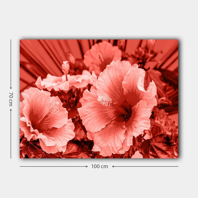 Lærred 70x100 cm - Smuk komposition af hibiscusblomster i forskellige nuancer af rød - Rød / Lys pink - Boligtilbehør - Billeder & kunst - Billeder på lærred