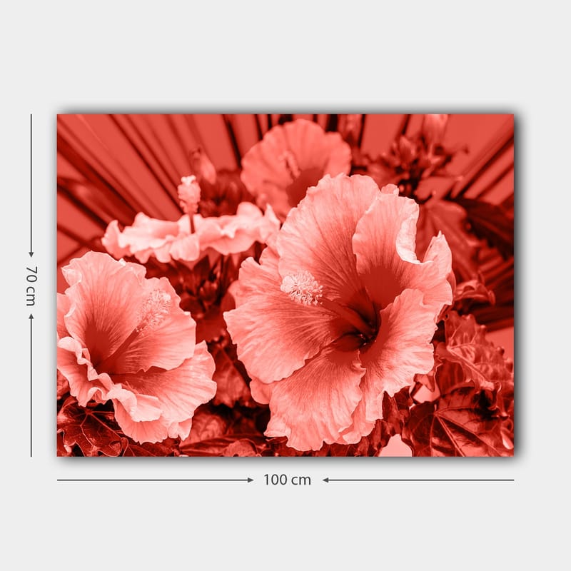 Lærred 70x100 cm - Smuk komposition af hibiscusblomster i forskellige nuancer af rød - Rød / Lys pink - Boligtilbehør - Billeder & kunst - Billeder på lærred