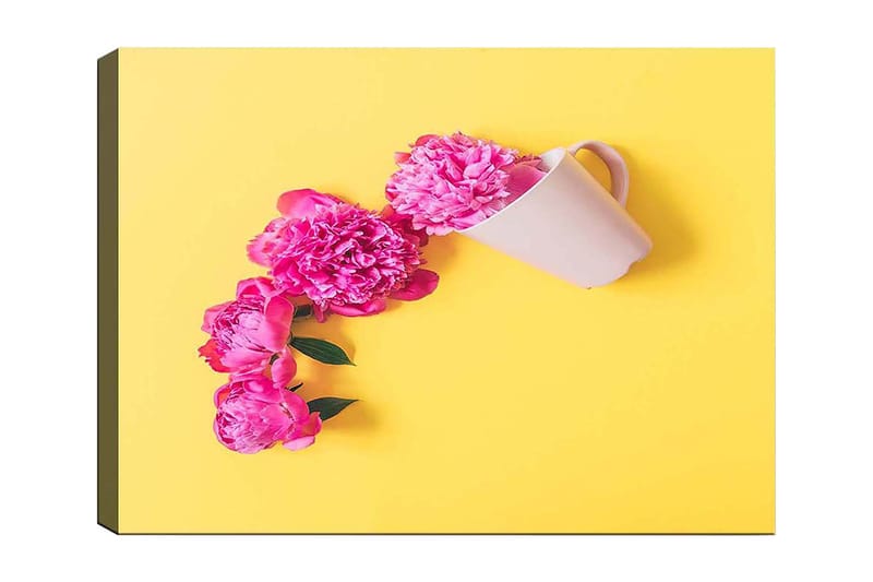 Lærred 70x100 cm - Smuk komposition af lyserøde pæoner hængende over en hvid kop, Lyserød / Gul