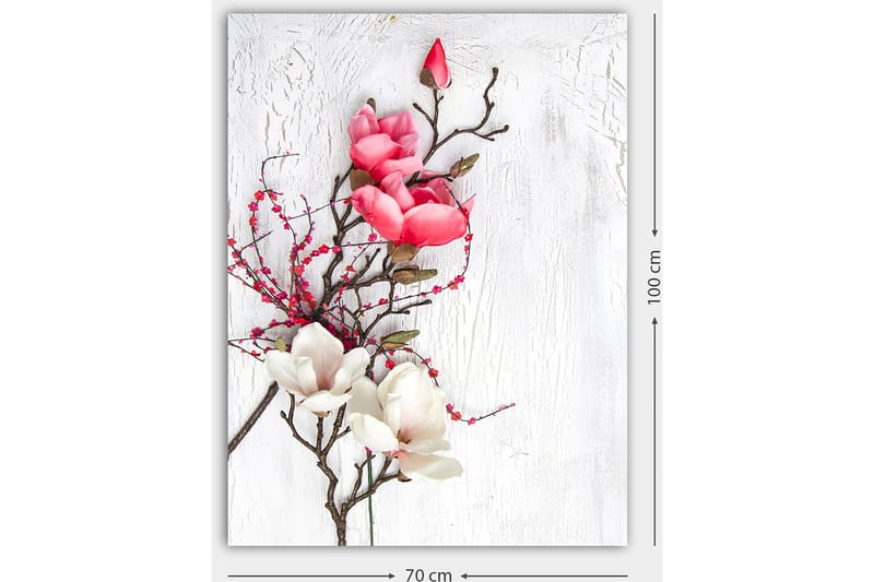Lærred 70x100 cm - Smuk komposition af magnoliablomster i pink og hvid på en diskret baggrund - Lyserød / Hvid / Grøn - Boligtilbehør - Billeder & kunst - Billeder på lærred