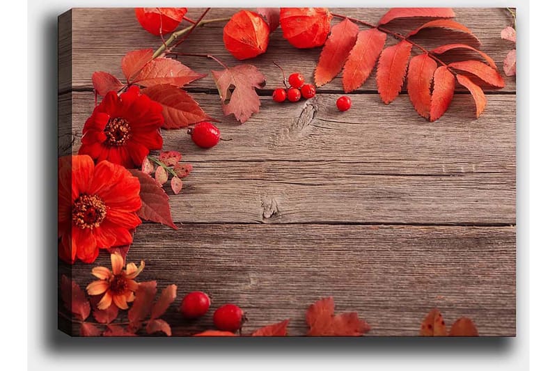 Lærred 70x100 cm - Smuk komposition af røde blomster og efterårsblade mod en træbaggrund - Rød / Orange / Brun - Boligtilbehør - Billeder & kunst - Billeder på lærred