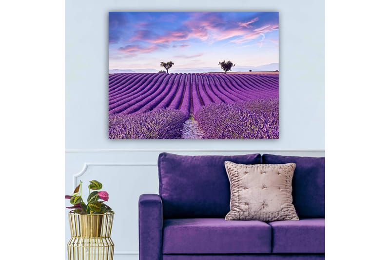 Lærred 70x100 cm - Smuk lavendelmark med bløde, bølgede rækker af lavendelblomster under en klar himmel - Lilla / Grøn / Blå - Boligtilbehør - Billeder & kunst - Billeder på lærred