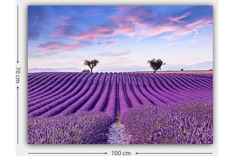 Lærred 70x100 cm - Smuk lavendelmark med bløde, bølgede rækker af lavendelblomster under en klar himmel - Lilla / Grøn / Blå - Boligtilbehør - Billeder & kunst - Billeder på lærred