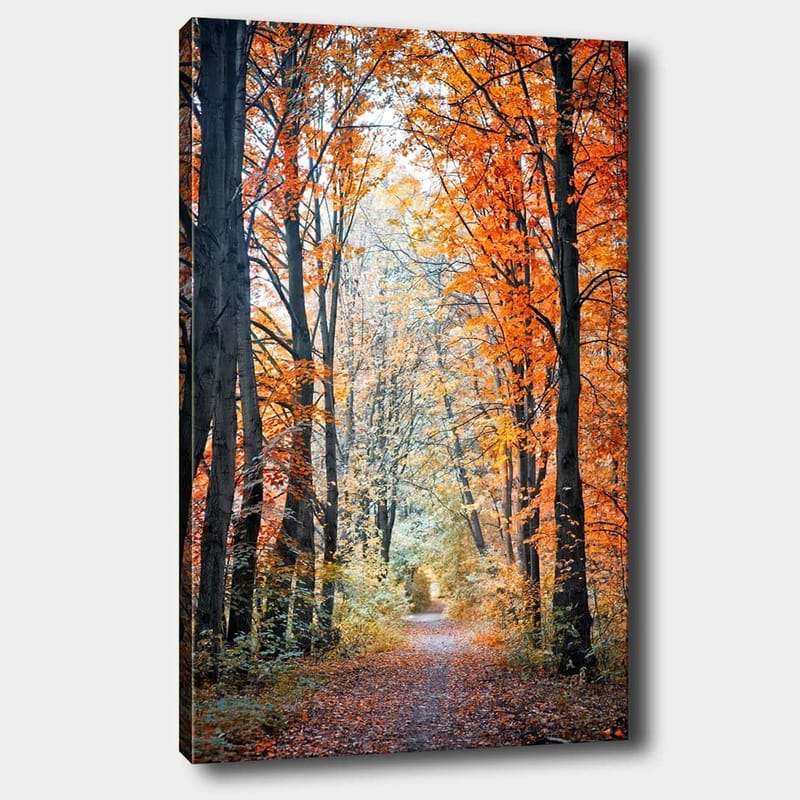 Lærred 70x100 cm - Smuk skovsti omgivet af efterårsfarver og træer med gyldne og orange blade, Orange / Guld / Grøn