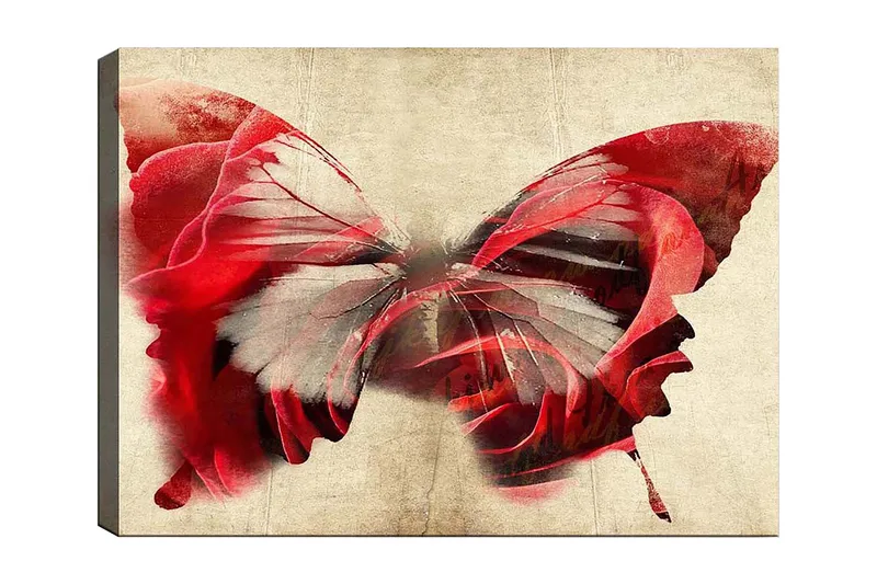 Lærred 70x100 cm - Smuk sommerfugl bestående af roser, der skaber en harmonisk og drømmeagtig følelse, Rød / Grå