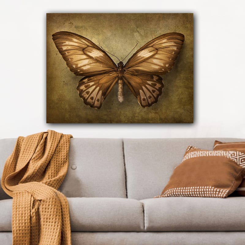 Lærred 70x100 cm - Smuk sommerfugl med detaljerede vinger i brune og beige nuancer - Brun / Beige - Boligtilbehør - Billeder & kunst - Billeder på lærred