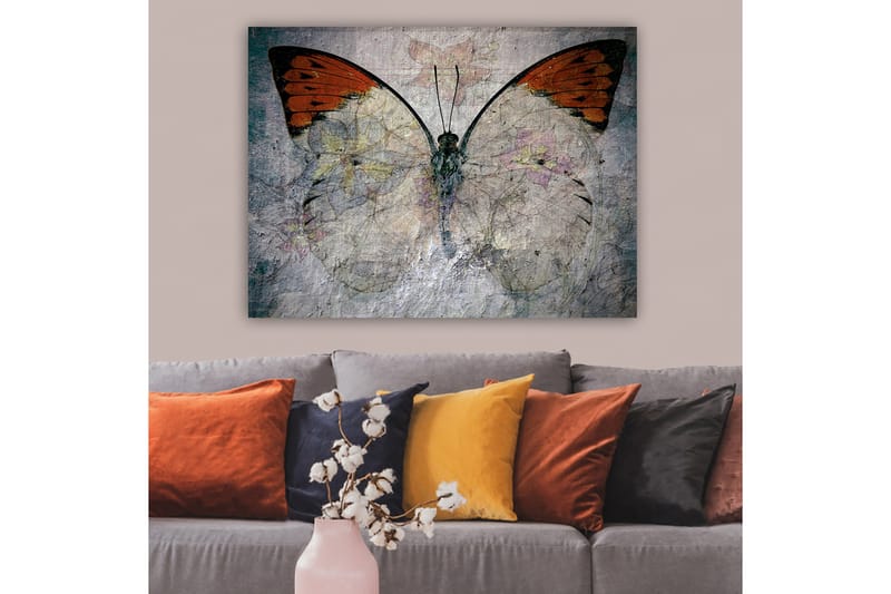 Lærred 70x100 cm - Smuk sommerfugl med orange og hvide vinger, der fremhæver naturens skønhed, Orange / Hvid / Grå