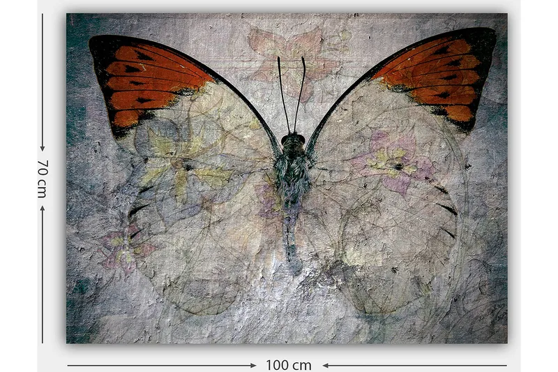 Lærred 70x100 cm - Smuk sommerfugl med orange og hvide vinger, der fremhæver naturens skønhed - Orange / Hvid / Grå - Boligtilbehør - Billeder & kunst - Billeder på lærred