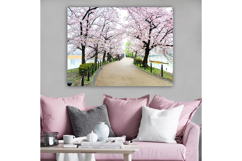 Lærred 70x100 cm - Smuk sti omkranset af kirsebærtræer i fuldt flor, Lyserød / Grøn / Brun