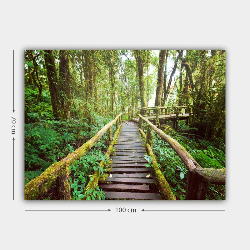Lærred 70x100 cm - Smuk træbro der snor sig gennem en frodig regnskov - Grøn / Brun / Gulgrøn - Boligtilbehør - Billeder & kunst - Billeder på lærred