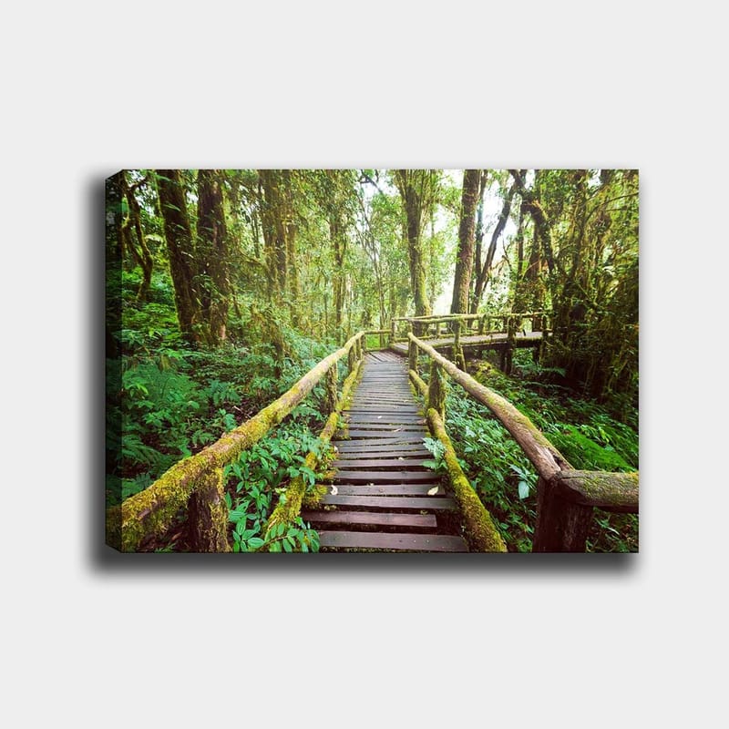 Lærred 70x100 cm - Smuk træbro der snor sig gennem en frodig regnskov, Grøn / Brun / Gulgrøn