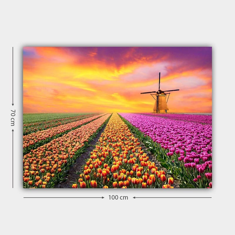 Lærred 70x100 cm - Smuk tulipanmark med en traditionel vindmølle i solnedgangens lys - Lilla / Orange / Grøn - Boligtilbehør - Billeder & kunst - Billeder på lærred