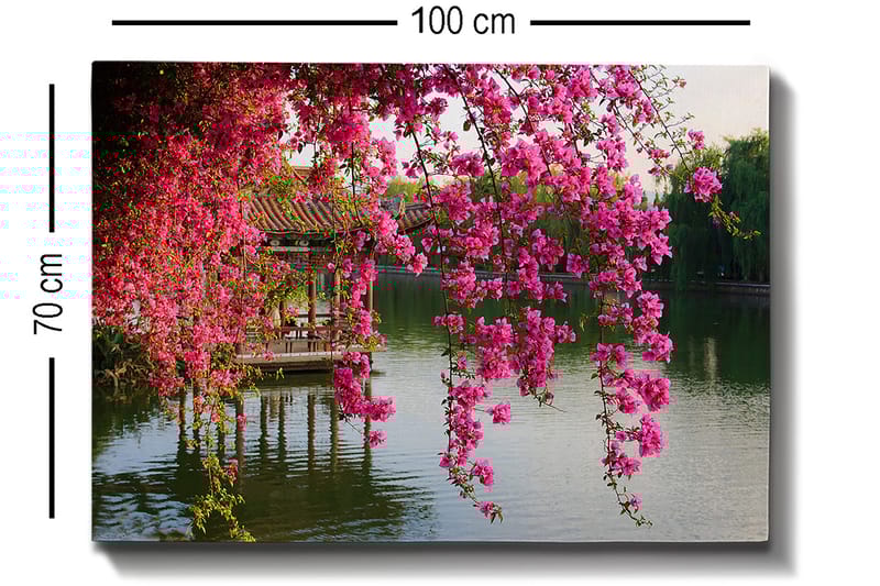 Lærred 70x100 cm - Smuk udsigt over blomstrende bougainvillea, der hænger over en rolig sø og en traditionel pavillon i baggrunden - Lyserød / Grøn / Blågrå - Boligtilbehør - Billeder & kunst - Billeder på lærred