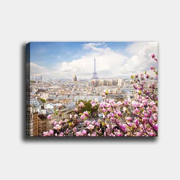 Lærred 70x100 cm - Smuk udsigt over Paris med Eiffeltårnet omgivet af blomstrende kirsebærtræer - Lyserød / Blå / Grøn - Boligtilbehør - Billeder & kunst - Billeder på lærred