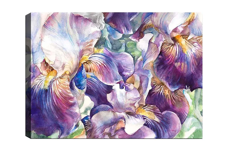 Lærred 70x100 cm - Smukke irisblomster i en farverig komposition, Lilla / Hvid / Gul