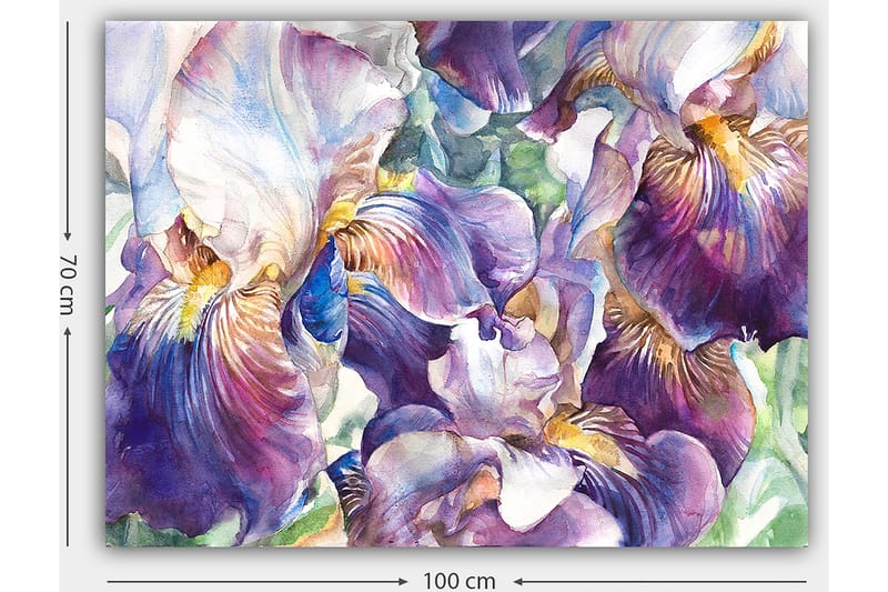 Lærred 70x100 cm - Smukke irisblomster i en farverig komposition - Lilla / Hvid / Gul - Boligtilbehør - Billeder & kunst - Billeder på lærred