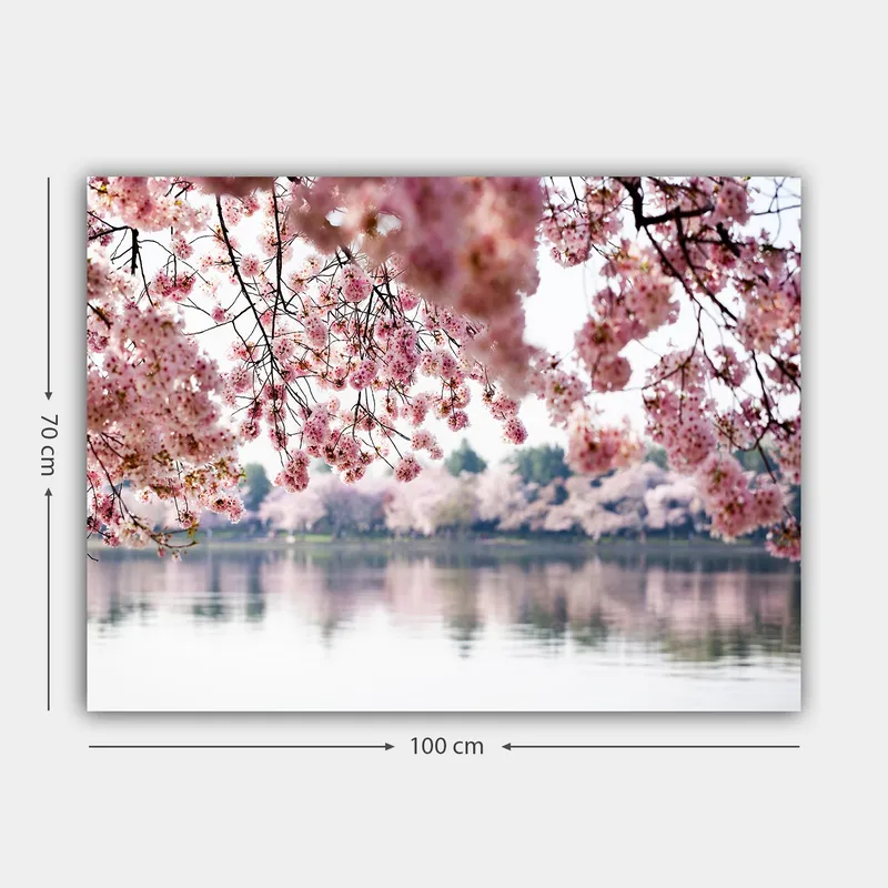 Lærred 70x100 cm - Smukke kirsebærblomster, der flyder over en spejlblank sø - Lys pink / Mørk pink / Grøn - Boligtilbehør - Billeder & kunst - Billeder på lærred