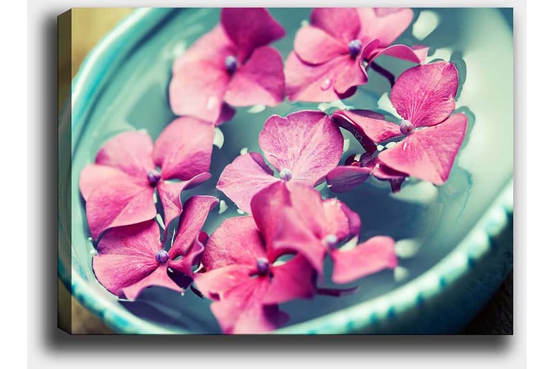 Lærred 70x100 cm - Smukke lyserøde blomster flyder i en turkis skål - Lyserød / Turkis - Boligtilbehør - Billeder & kunst - Billeder på lærred