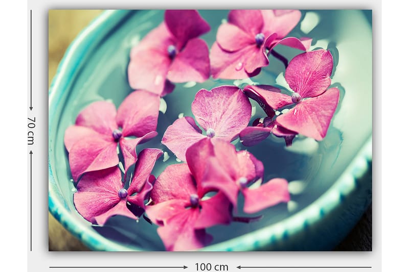 Lærred 70x100 cm - Smukke lyserøde blomster flyder i en turkis skål - Lyserød / Turkis - Boligtilbehør - Billeder & kunst - Billeder på lærred