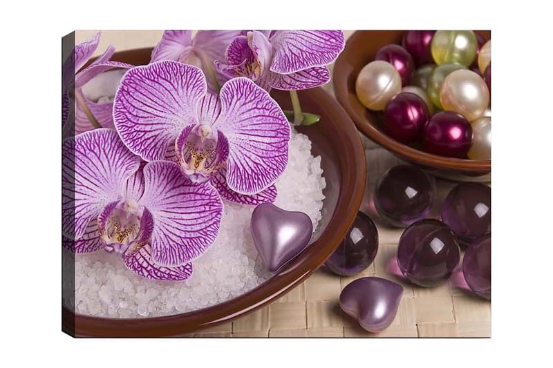 Lærred 70x100 cm - Smukke orkideer i en skål med dekorative elementer, Lilla / Hvid / Lyserød
