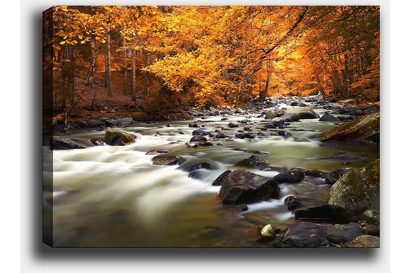 Lærred 70x100 cm - Smukt efterårslandskab med en rislende bæk omgivet af gylden og orange løv - Gylden / Orange / Grøn - Boligtilbehør - Billeder & kunst - Billeder på lærred