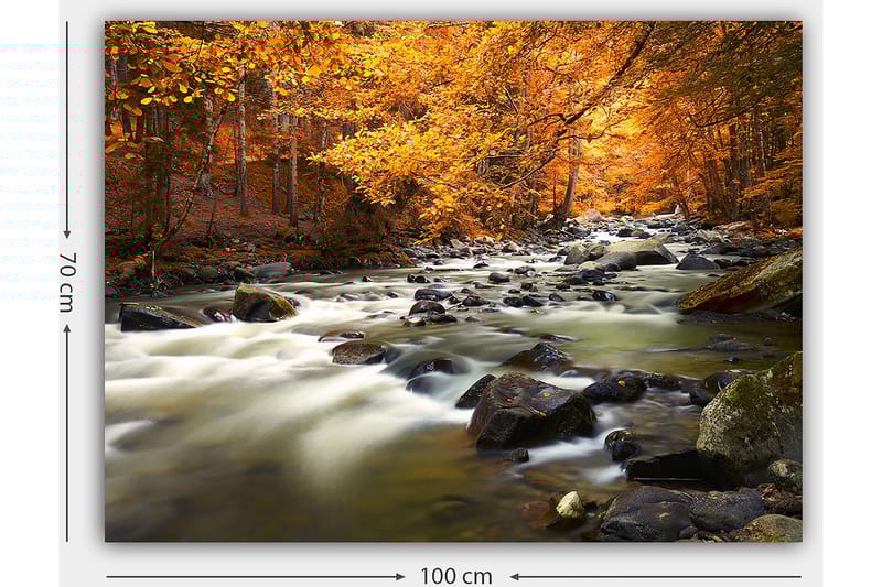 Lærred 70x100 cm - Smukt efterårslandskab med en rislende bæk omgivet af gylden og orange løv - Gylden / Orange / Grøn - Boligtilbehør - Billeder & kunst - Billeder på lærred