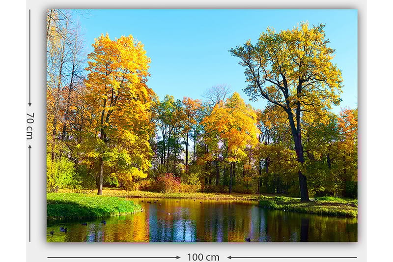 Lærred 70x100 cm - Smukt efterårslandskab med farverige træer og en spejlblank sø - Gyldengul / Grøn / Blå - Boligtilbehør - Billeder & kunst - Billeder på lærred