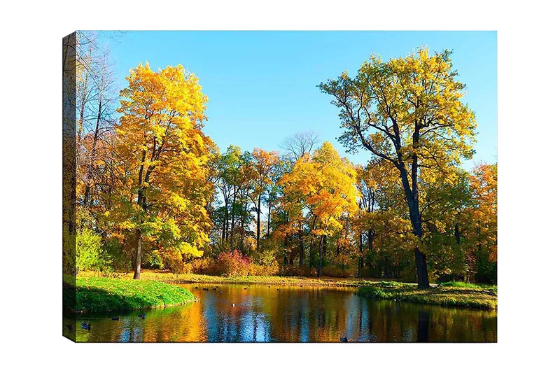 Lærred 70x100 cm - Smukt efterårslandskab med farverige træer og en spejlblank sø, Gyldengul / Grøn / Blå
