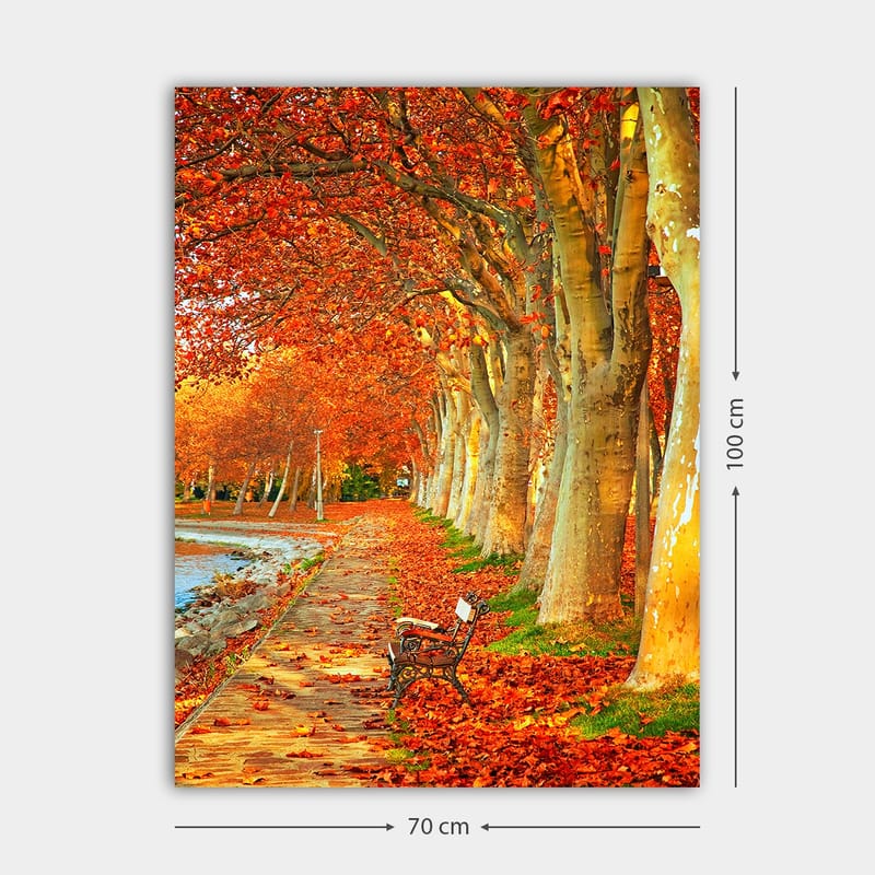 Lærred 70x100 cm - Smukt efterårsscene med en bænk langs en allé af træer med funklende røde og orange blade - Rød / Orange / Gul - Boligtilbehør - Billeder & kunst - Billeder på lærred