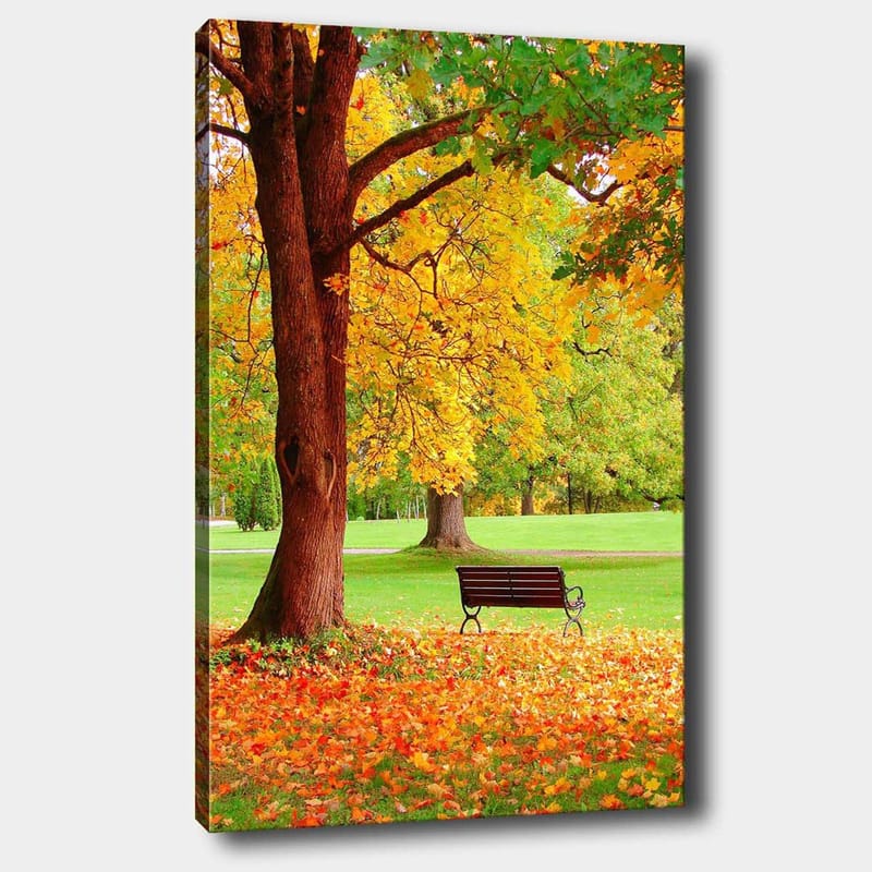 Lærred 70x100 cm - Smukt efterårsscene med en bænk under et farverigt træ, Gyldengul / Orange / Brun