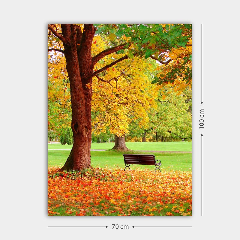 Lærred 70x100 cm - Smukt efterårsscene med en bænk under et farverigt træ - Gyldengul / Orange / Brun - Boligtilbehør - Billeder & kunst - Billeder på lærred
