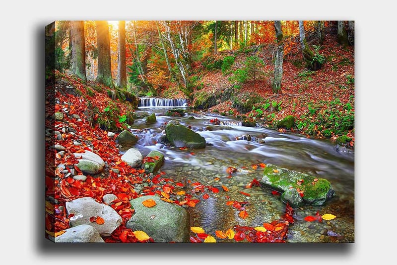 Lærred 70x100 cm - Smukt efterårsscene med en rislende bæk omgivet af farverige efterårsblade, Rød / Grøn / Brun
