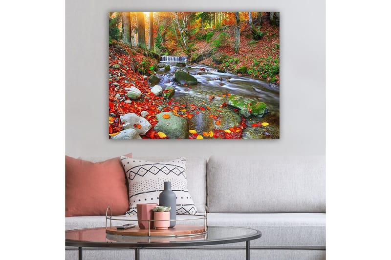 Lærred 70x100 cm - Smukt efterårsscene med en rislende bæk omgivet af farverige efterårsblade - Rød / Grøn / Brun - Boligtilbehør - Billeder & kunst - Billeder på lærred