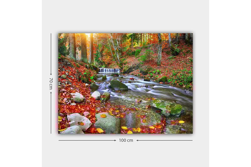 Lærred 70x100 cm - Smukt efterårsscene med en rislende bæk omgivet af farverige efterårsblade - Rød / Grøn / Brun - Boligtilbehør - Billeder & kunst - Billeder på lærred