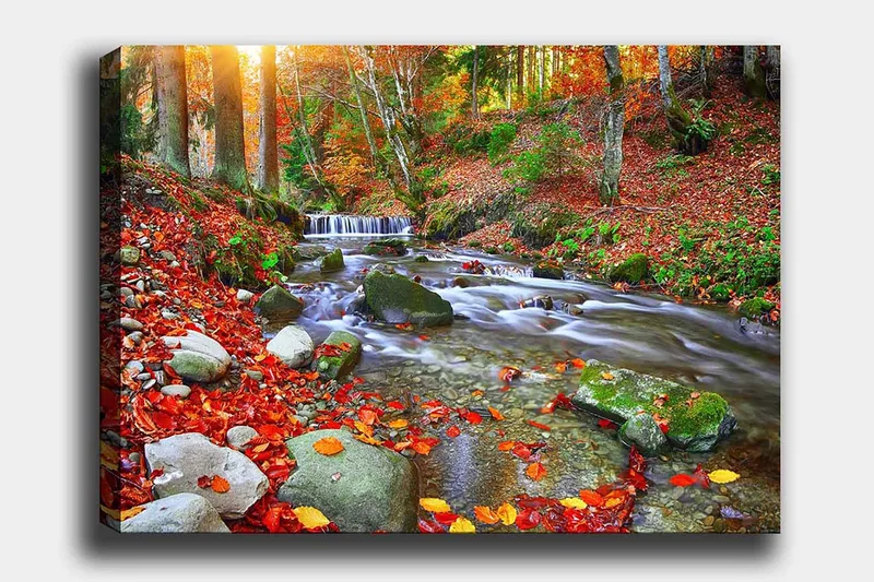 Lærred 70x100 cm - Smukt efterårsscene med en rislende bæk omgivet af farverige efterårsblade, Rød / Grøn / Brun