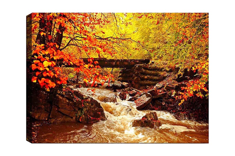 Lærred 70x100 cm - Smukt efterårsscene med en rislende bæk omgivet af farverige træer og blade i varme nuancer, Orange / Gul / Brun
