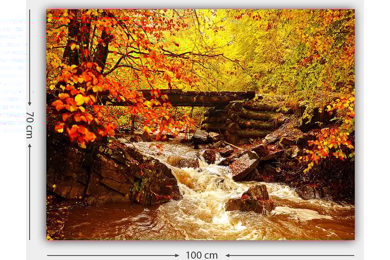 Lærred 70x100 cm - Smukt efterårsscene med en rislende bæk omgivet af farverige træer og blade i varme nuancer - Orange / Gul / Brun - Boligtilbehør - Billeder & kunst - Billeder på lærred